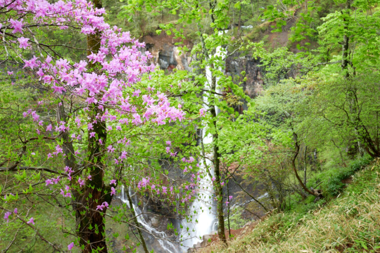 華厳滝