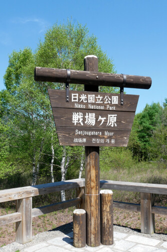 戦場ヶ原